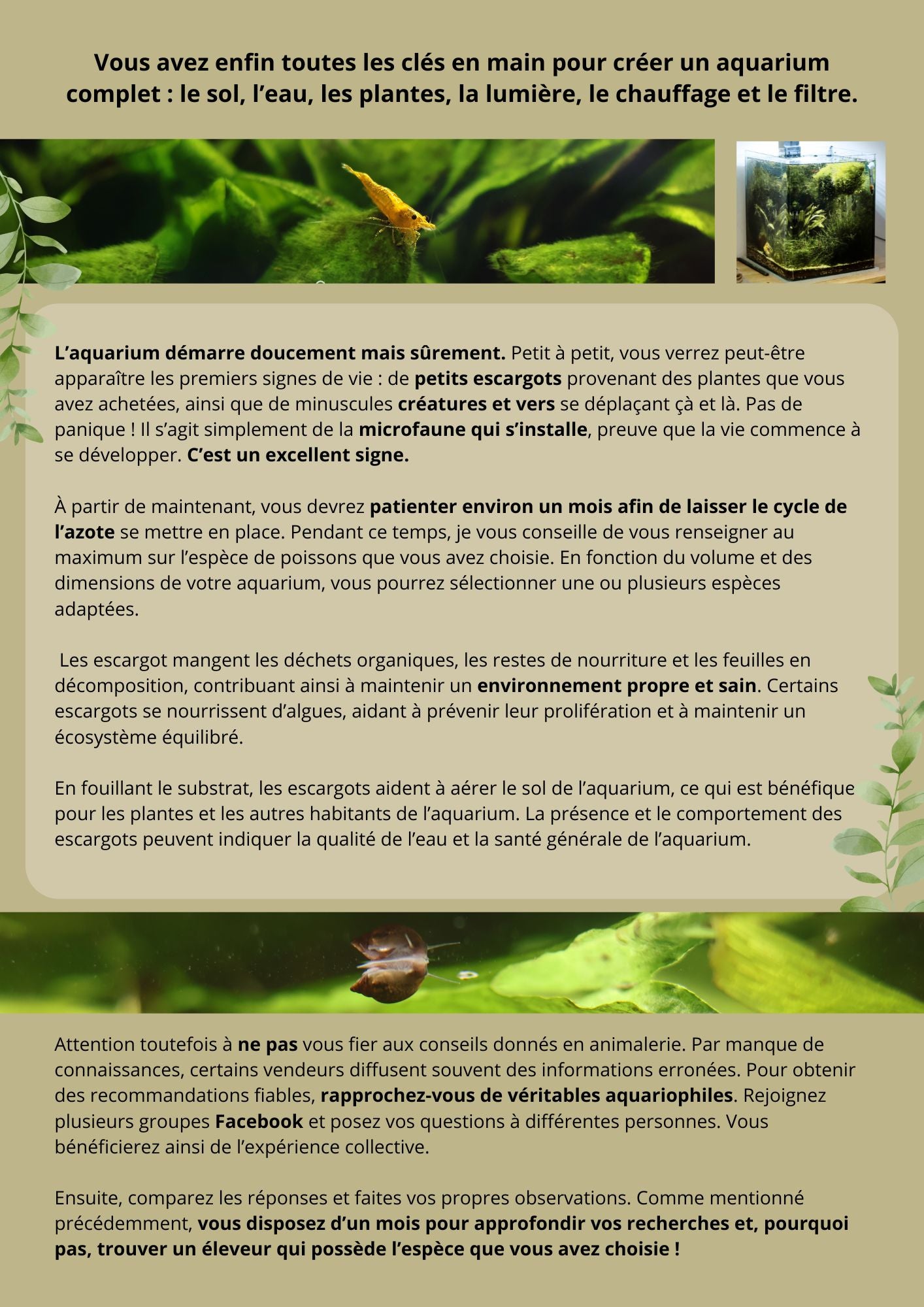 Le petit journal du débutant aquariophile - Les bases de A a Z🌿