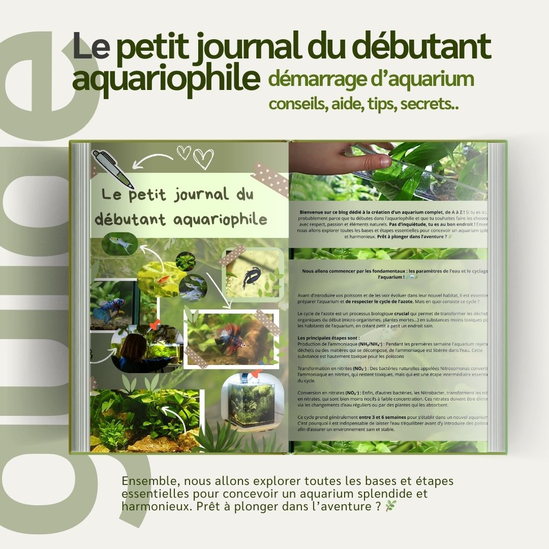 Le petit journal du débutant aquariophile - Les bases de A a Z🌿