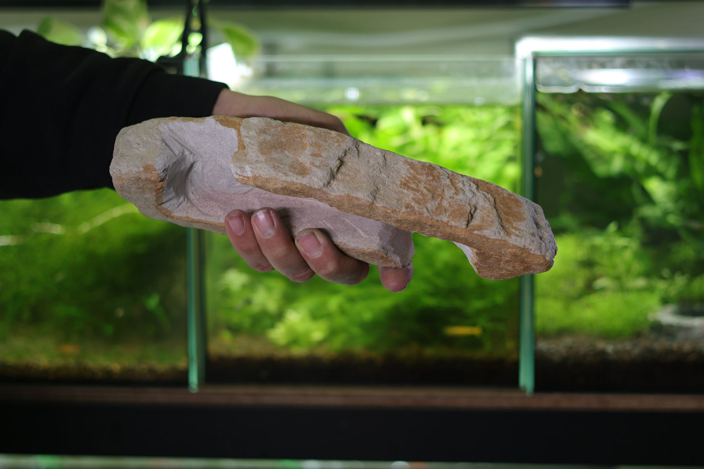 Grotte Double Entrées en Grès - Roche Taillées