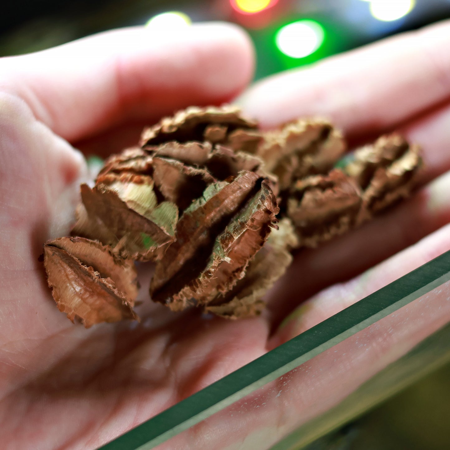 đGousse d'Arjun - Sachet de 10g