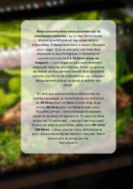 Une vie complète dans un bocal, explications des effets négatifs sur le combattant betta splendens.