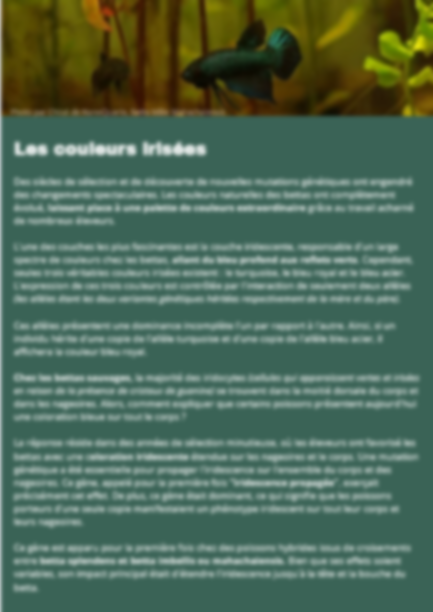 Génétique et Couleurs : Comment crée des lignées d'exceptions