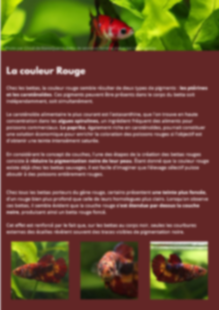 Génétique et Couleurs : Comment crée des lignées d'exceptions