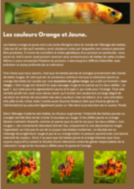 Génétique et Couleurs : Comment crée des lignées d'exceptions