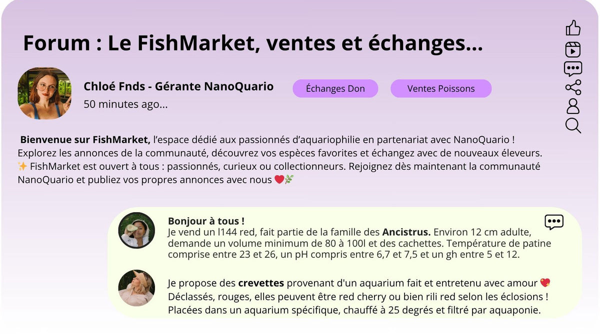 💰Forum : Le FishMarket, ventes et échanges...