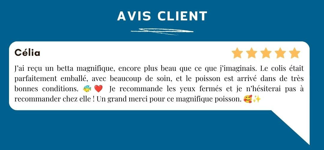 Votre avis compte ! - Avis Client 🌿