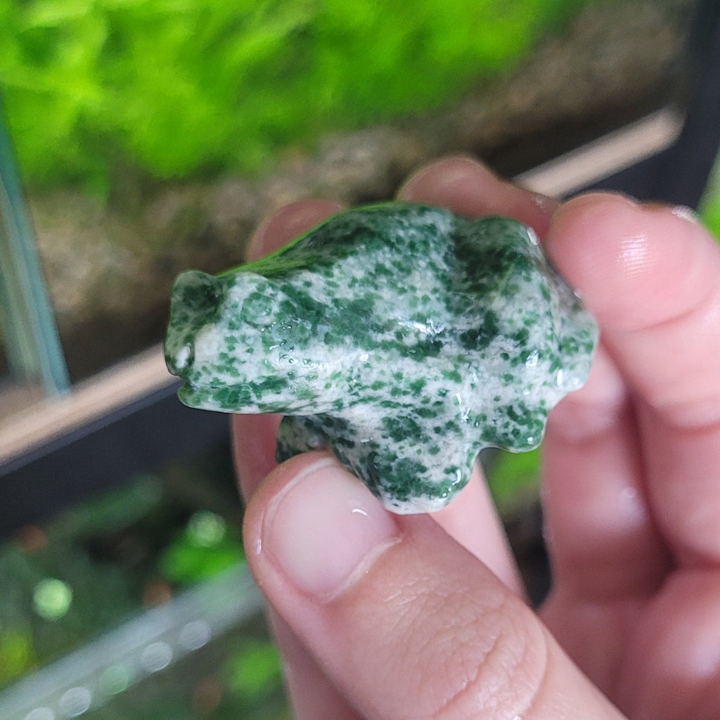 NanoStone - Grenouille en Qinghai Jade