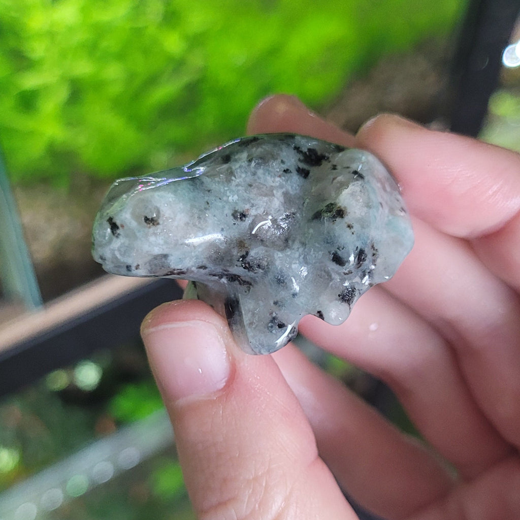 NanoStone - Grenouille en Sesame Jasper