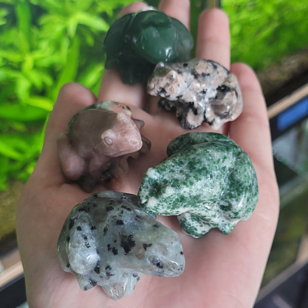 NanoStone - Grenouille en Aventurine