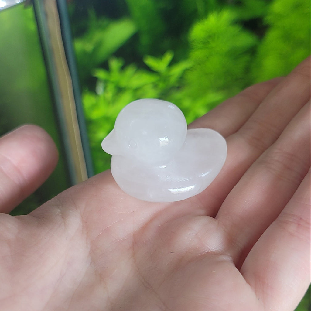 NanoStone - Canard en Quartz Blanc