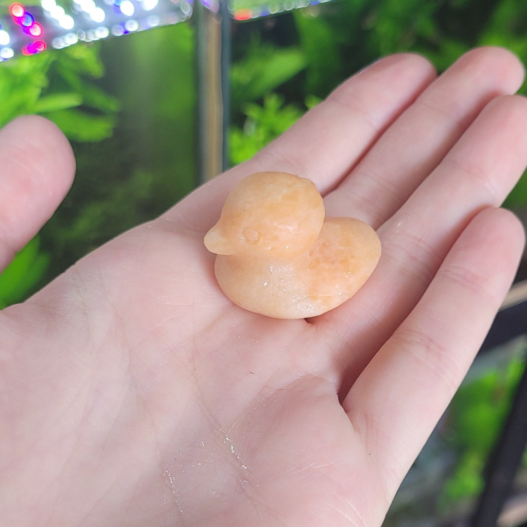 NanoStone - Canard en Aventurine Orange