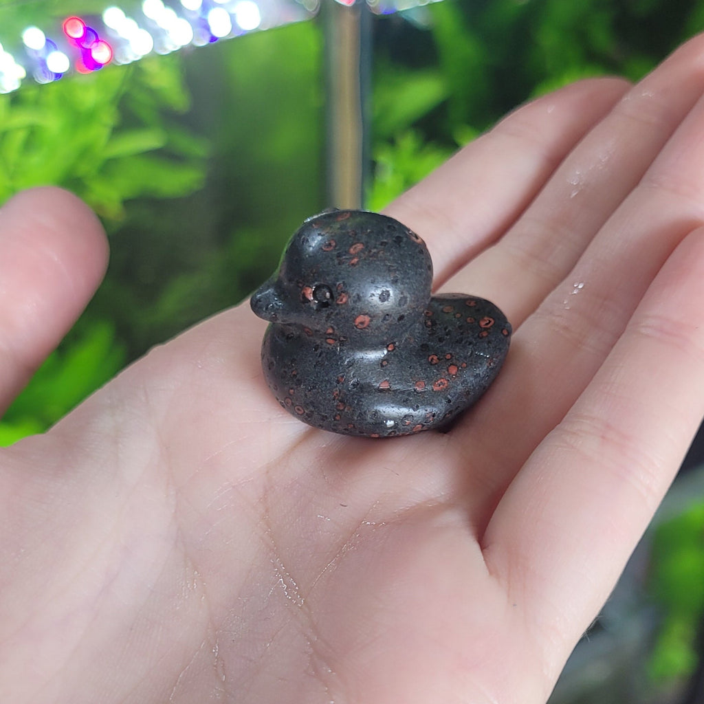 NanoStone - Canard en Plum Blossom Jade