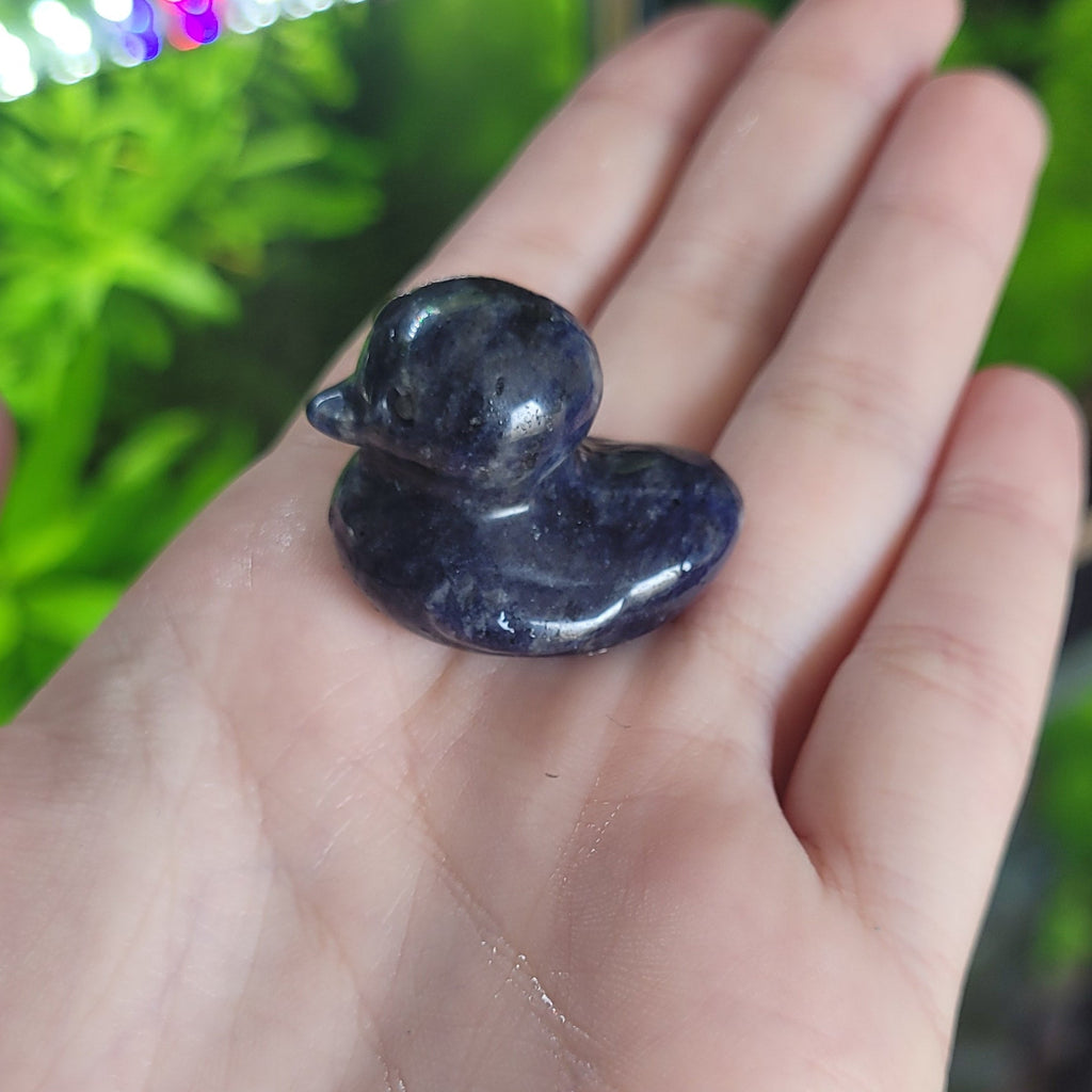 NanoStone - Canard en Sodalite Bleue