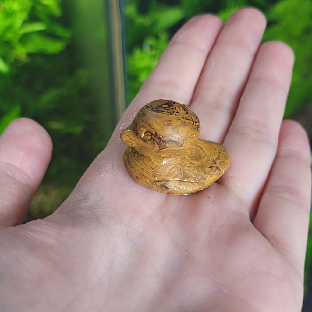 NanoStone - Canard en Jaspe Leopard