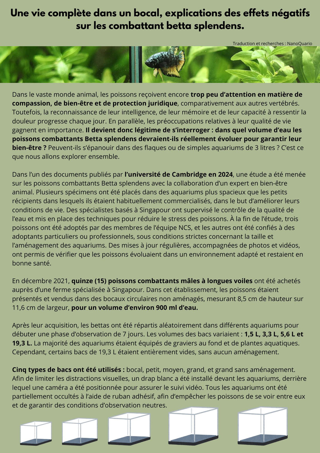 Une vie complète dans un bocal, explications des effets négatifs sur le combattant betta splendens.