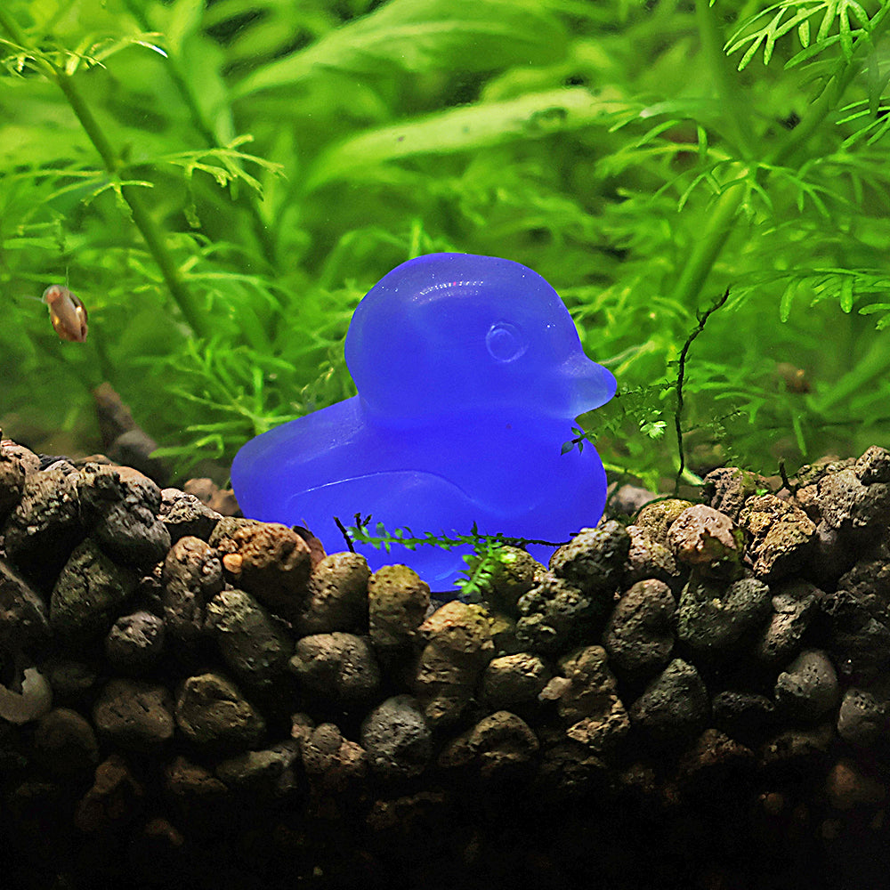 NanoStone - Canard en Opale Bleue