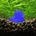 NanoStone - Canard en Opale Bleue