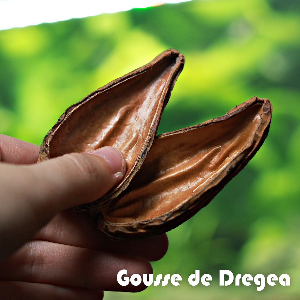 📦[Gros]🍂 Gousse de Dregea - Quantité / 30