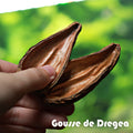 🍃Gousse de Dregea