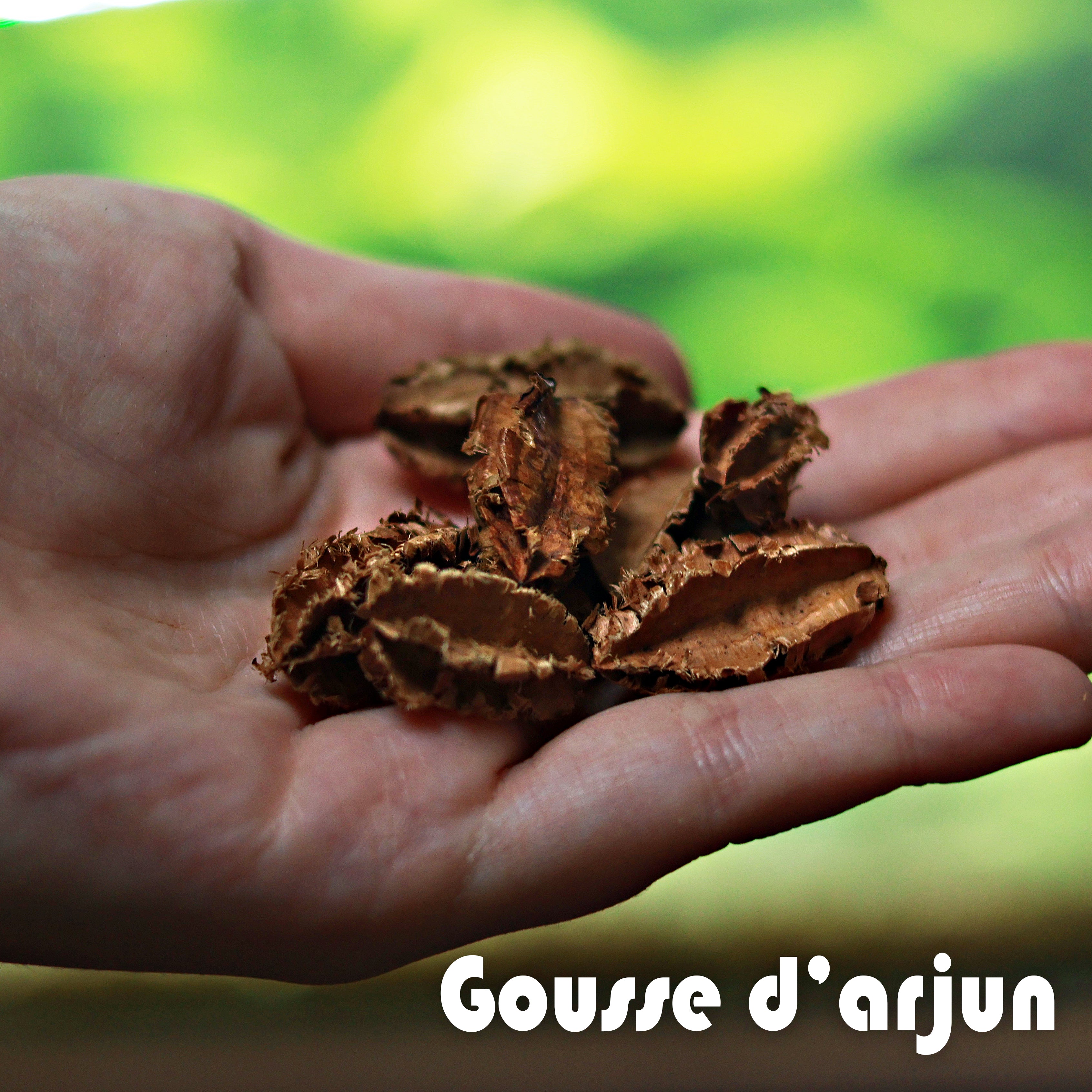 🍃Gousse d'Arjun - Sachet de 10g