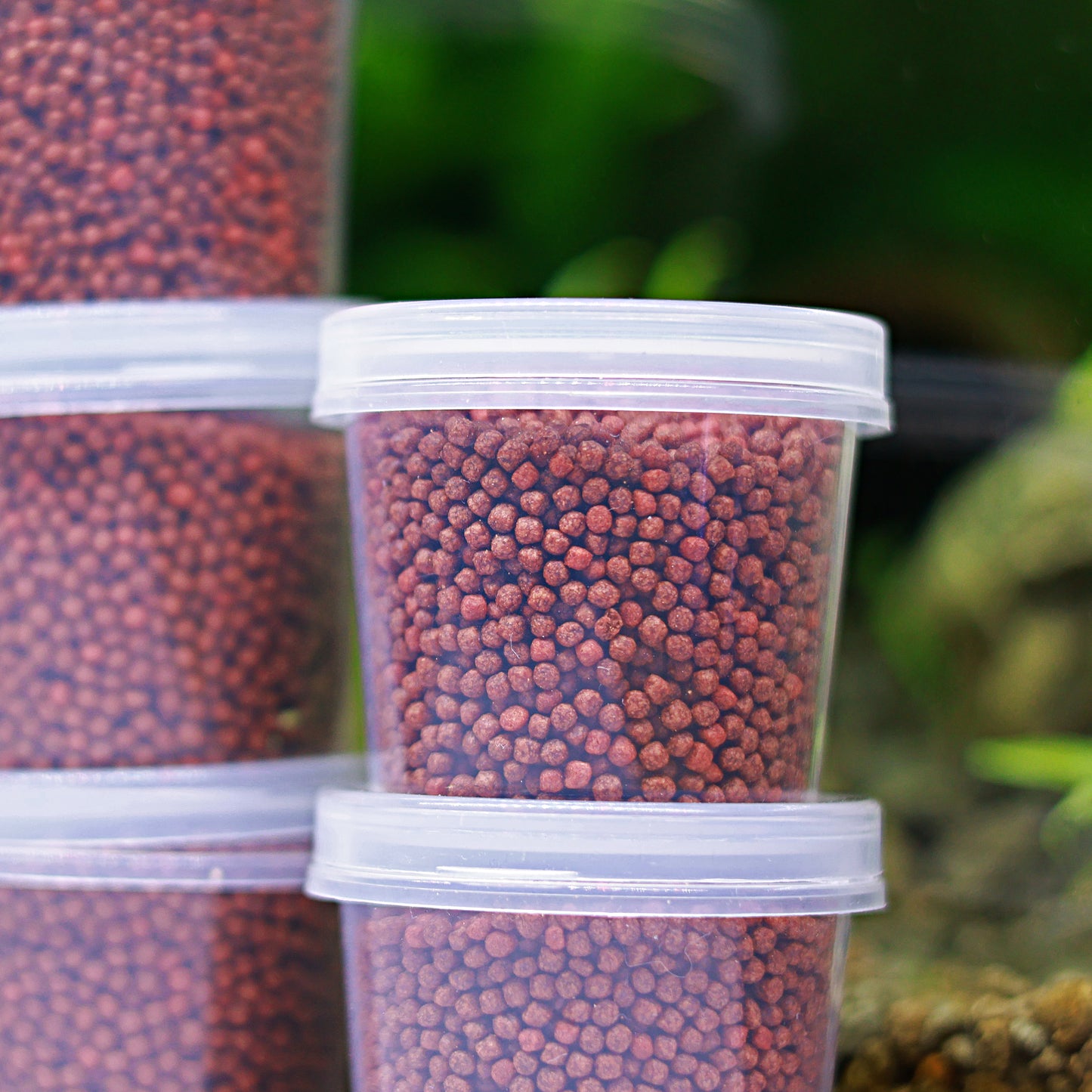 Granulés Bettas - Compléments alimentaire couleurs - Pot 40g