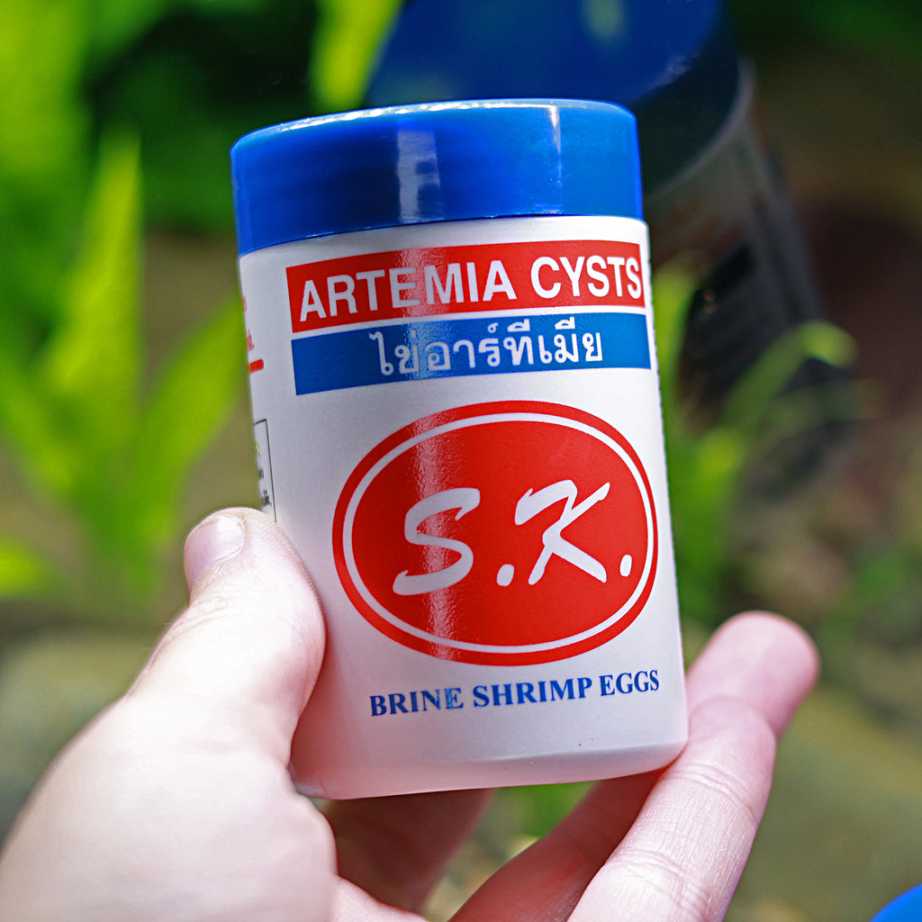 Brine Shrimp Œufs Artemias 50 g. Qualité Premium - Alevins et Petits Poissons