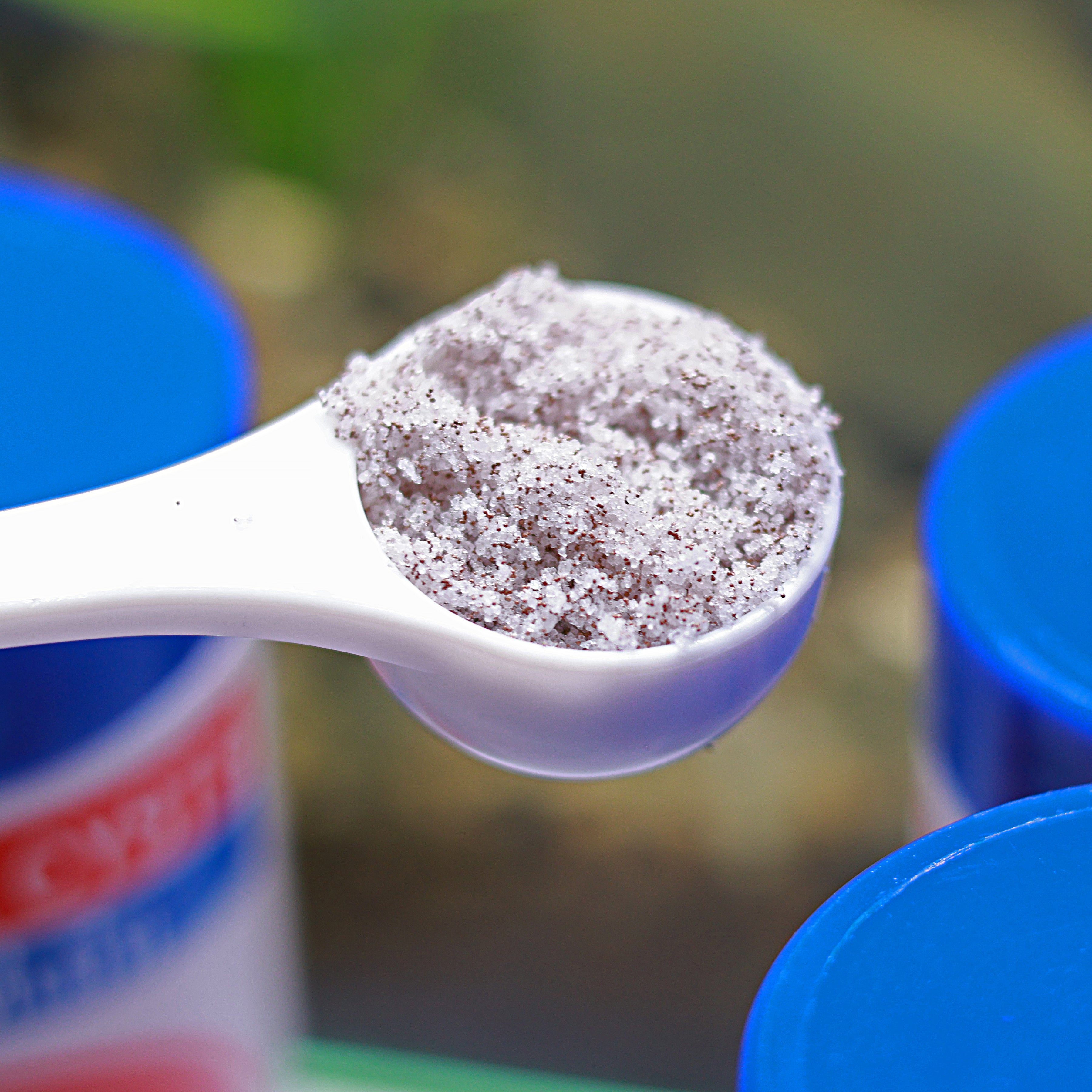 Brine Shrimp Œufs Artemias 50 g. Qualité Premium - Alevins et Petits Poissons