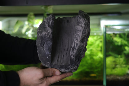 Grande Grotte en Calcaire Dur - Roche Taillée