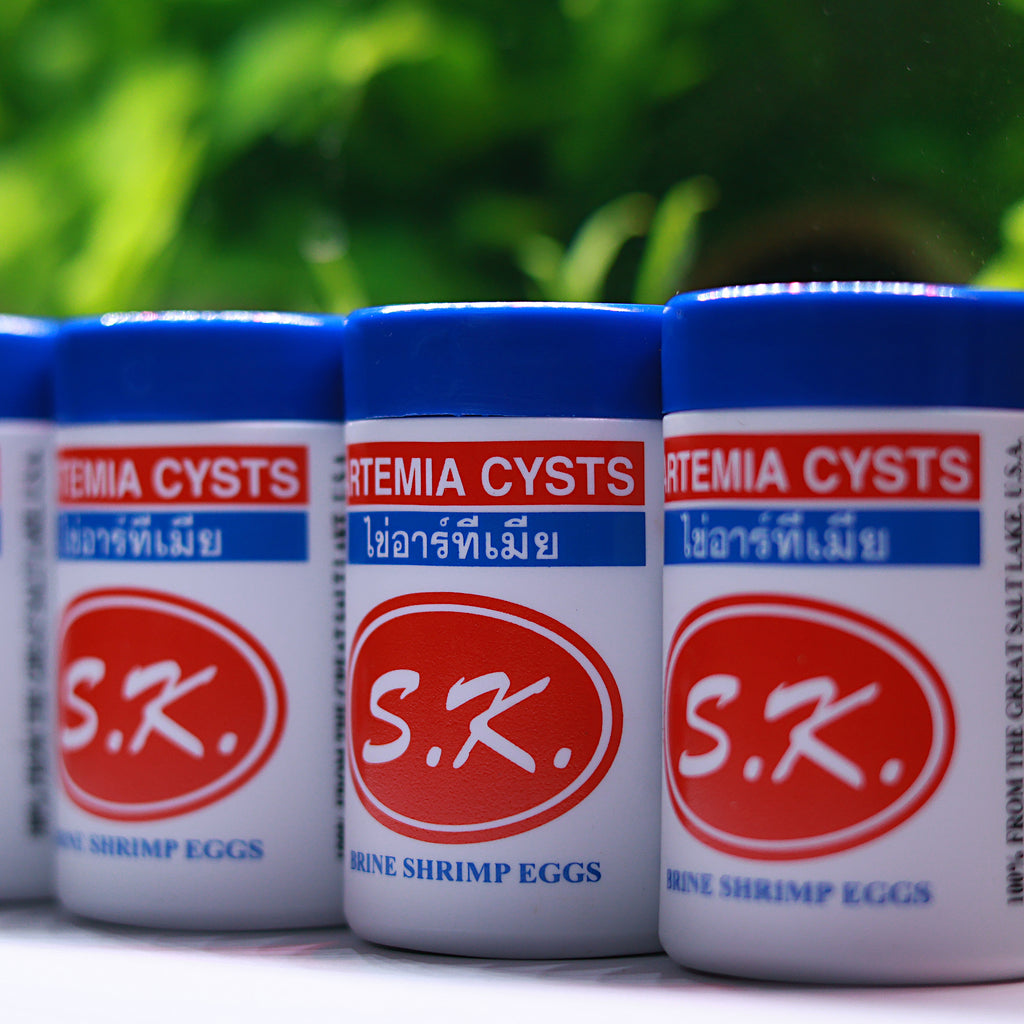 Brine Shrimp Œufs Artemias 50 g. Qualité Premium - Alevins et Petits Poissons