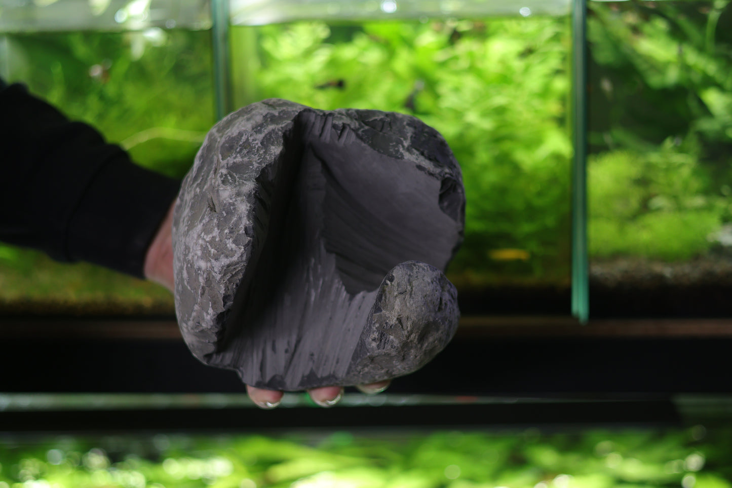 Grande Grotte Double Entrées en Calcaire Dur - Roche Taillée