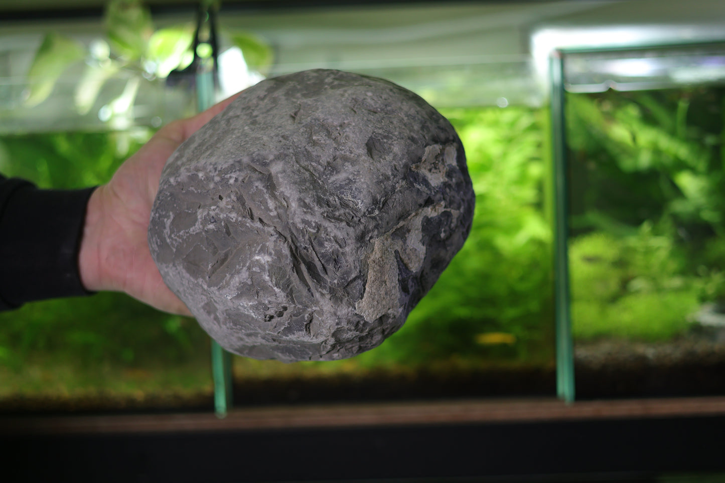 Grande Grotte Double Entrées en Calcaire Dur - Roche Taillée