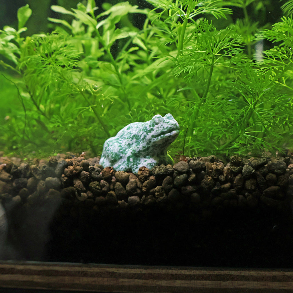 NanoStone - Grenouille en Qinghai Jade