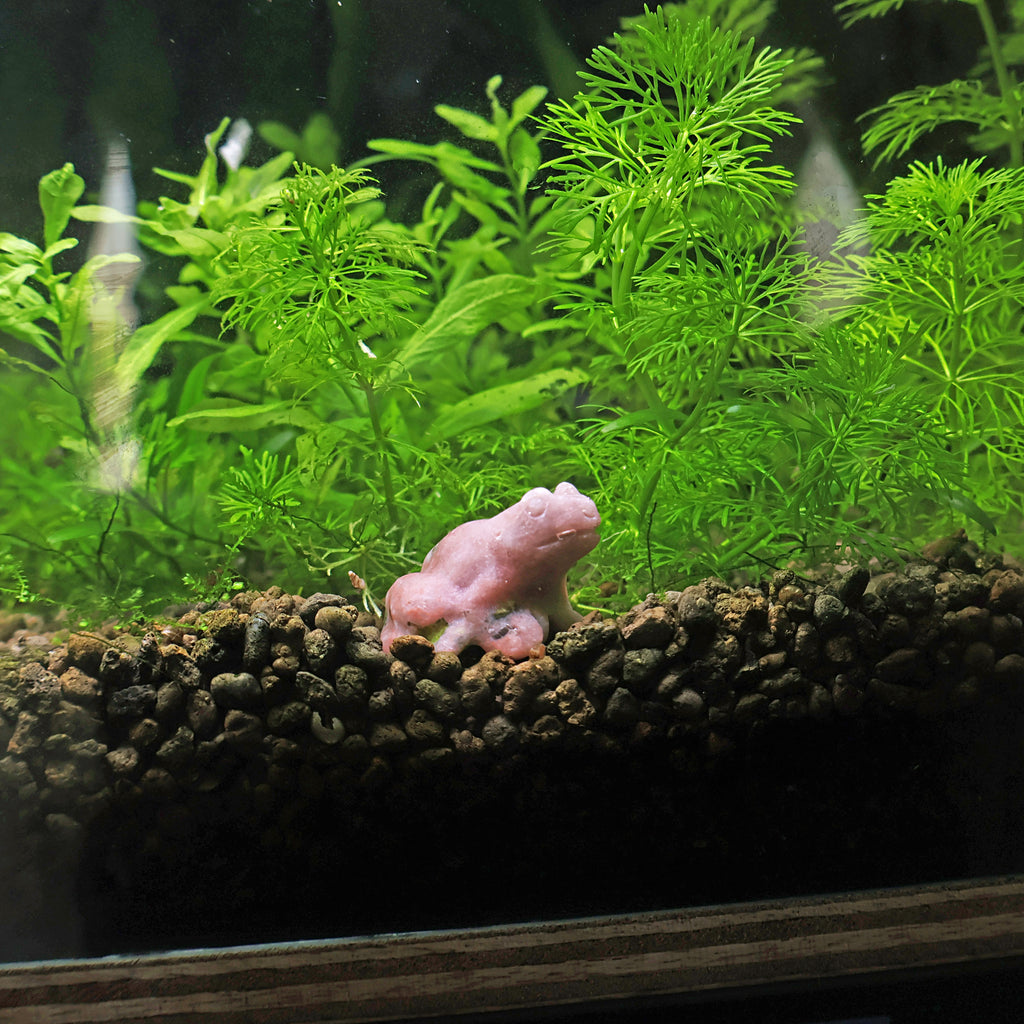 NanoStone - Grenouille en Rhodonite