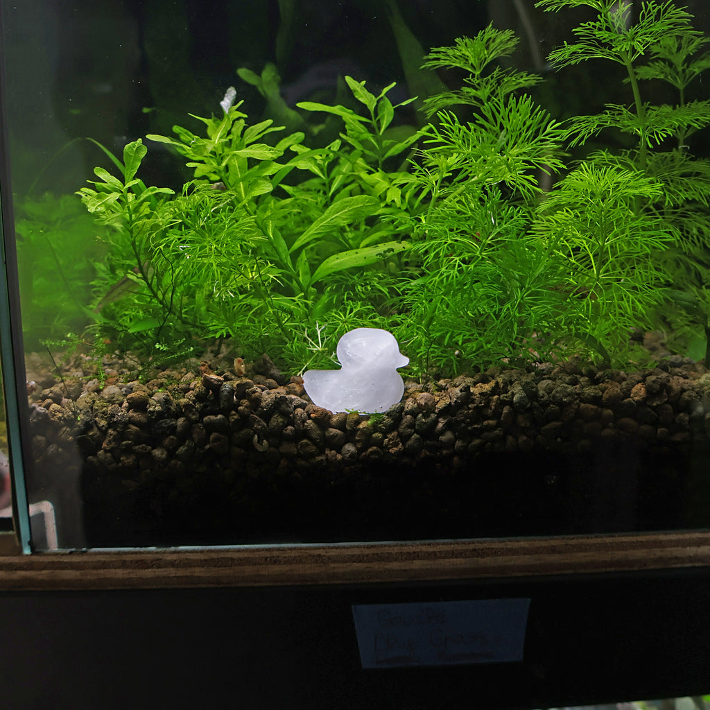NanoStone - Canard en Quartz Blanc