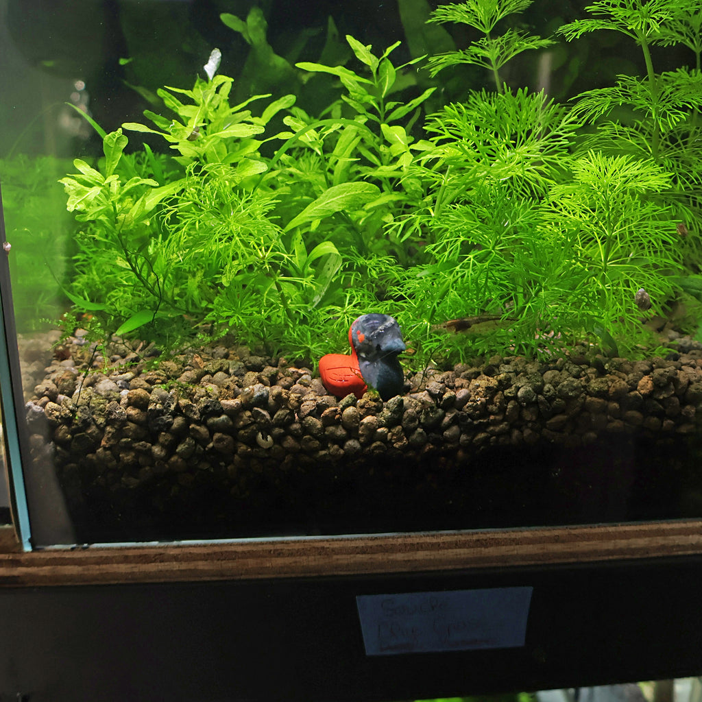 NanoStone - Canard en Sodalite et Jaspe Rouge