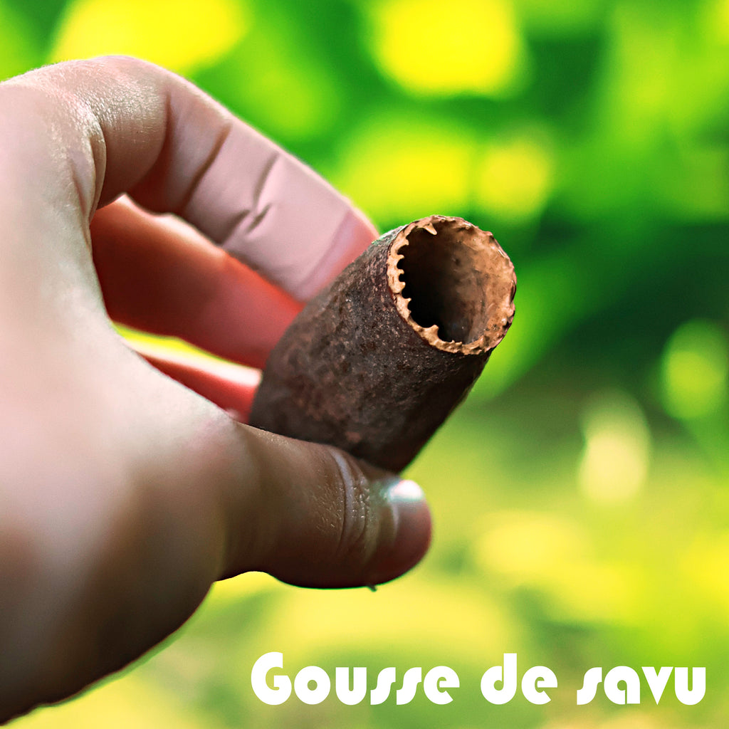 🍃 Gousse de Savu
