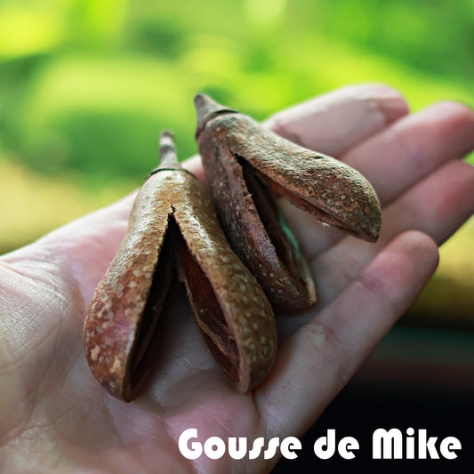 🌰Gousse de Mike