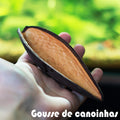 🌰Gousse de Canoinhas