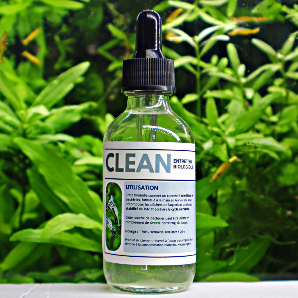 🩶Clean - Bactéries Cyclage et Stabilisation - Flacon 60ml