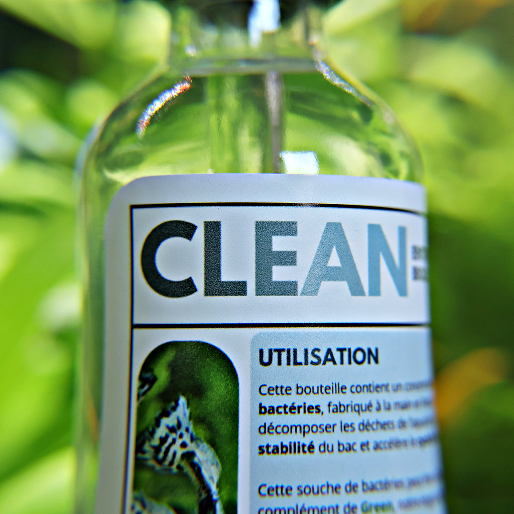 🩶Clean - Bactéries Cyclage et Stabilisation - Flacon 60ml