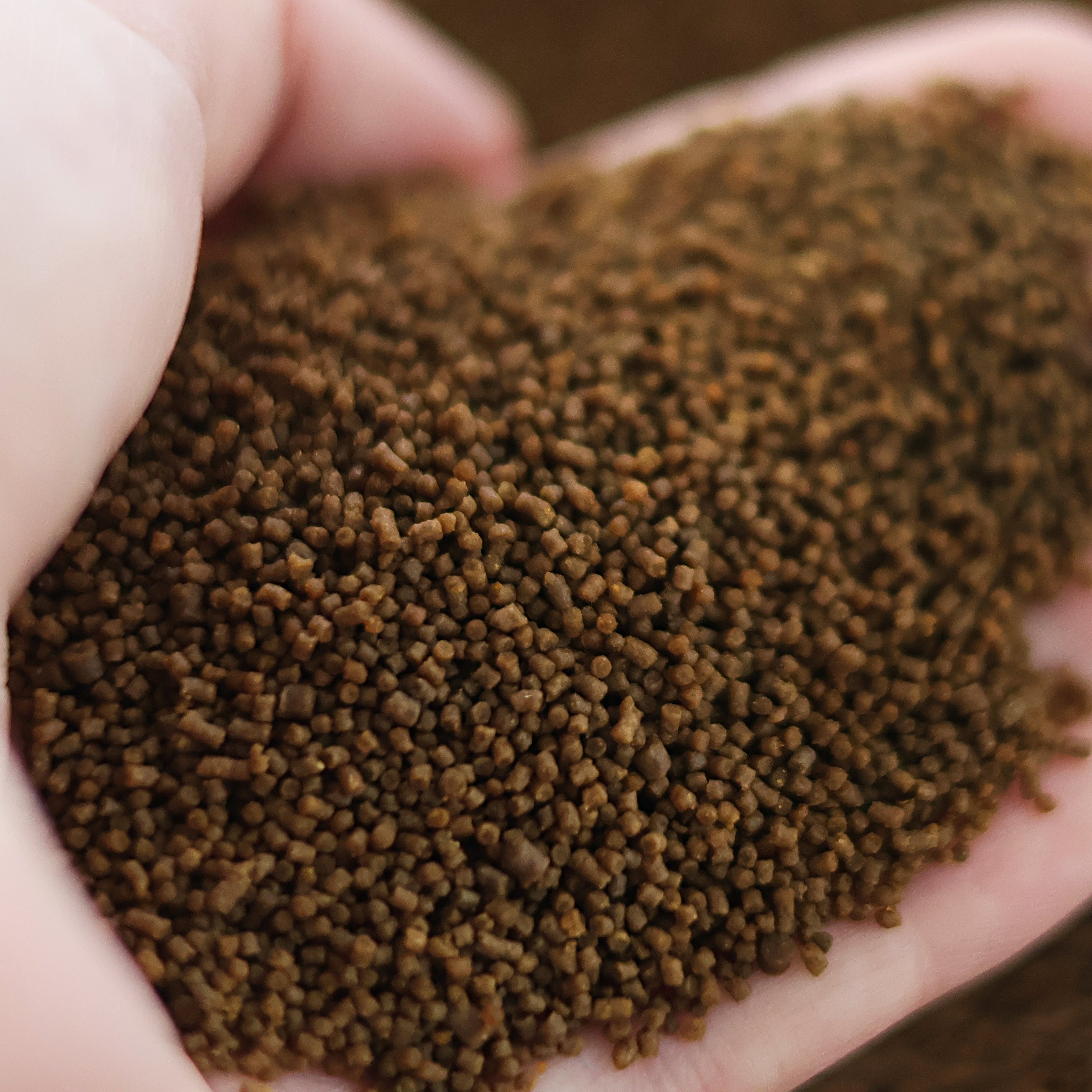 NanoPots Omni Mini - Granulés Omnivores enrichis Proteines Végétales et Animales - Pot 40g