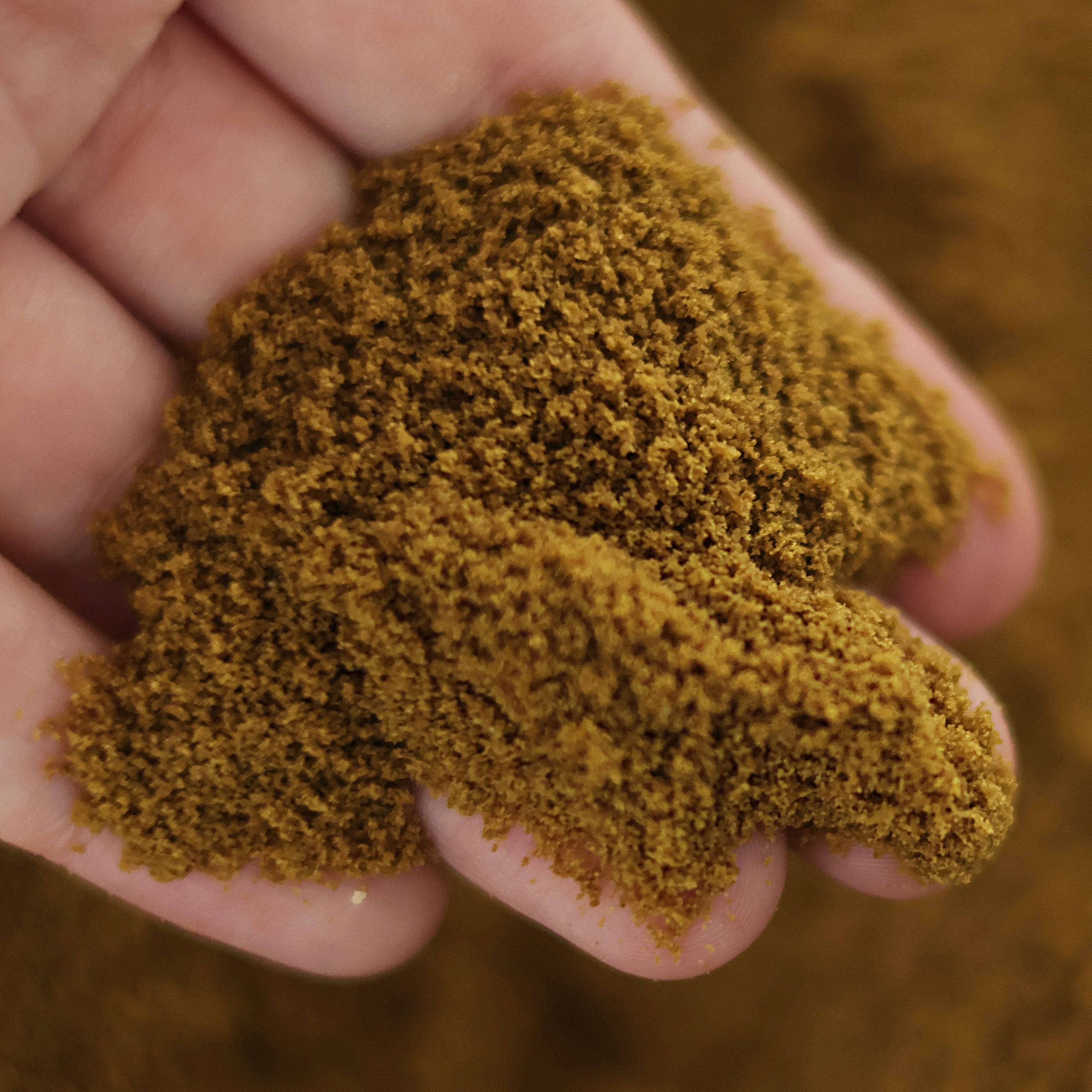 NanoPots Micro - Poudre Omnivores enrichis Proteines Végétales et Animales - Pot 40g