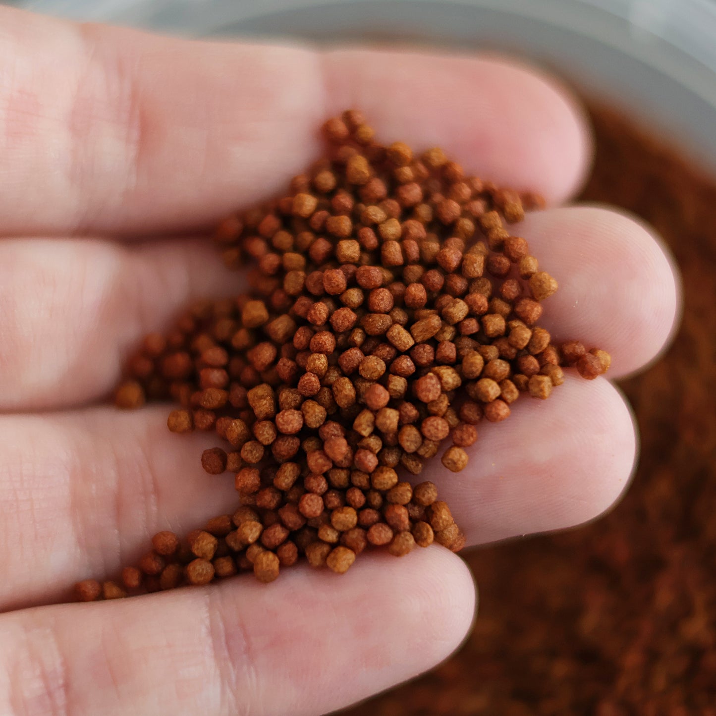 NanoPots Red - Compléments Boost Couleurs - Astaxantine, Spiruline, Protéines  - Pot 40g