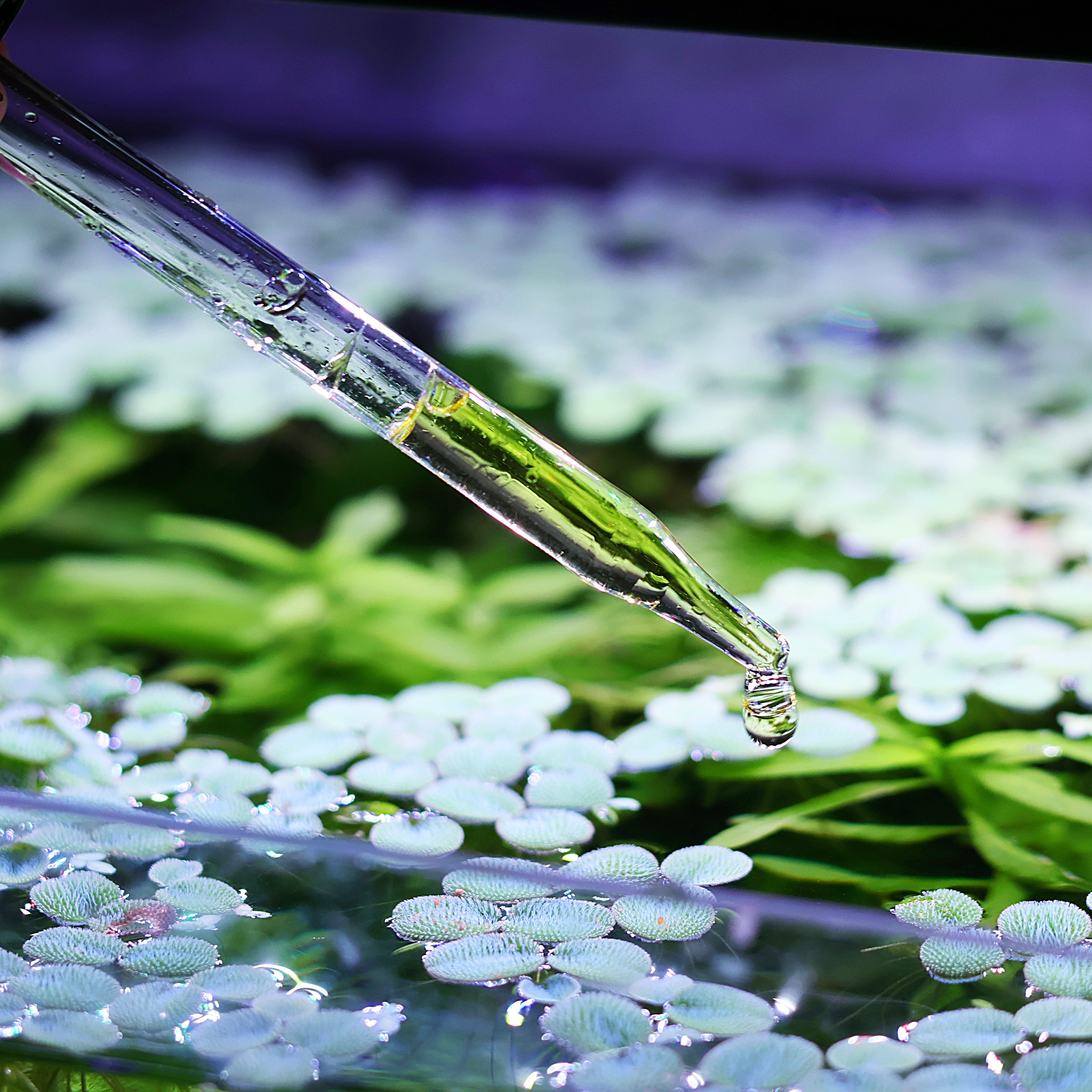 🌿Pack 3 Green- Engrais Liquide Croissance des Plantes - 180ml