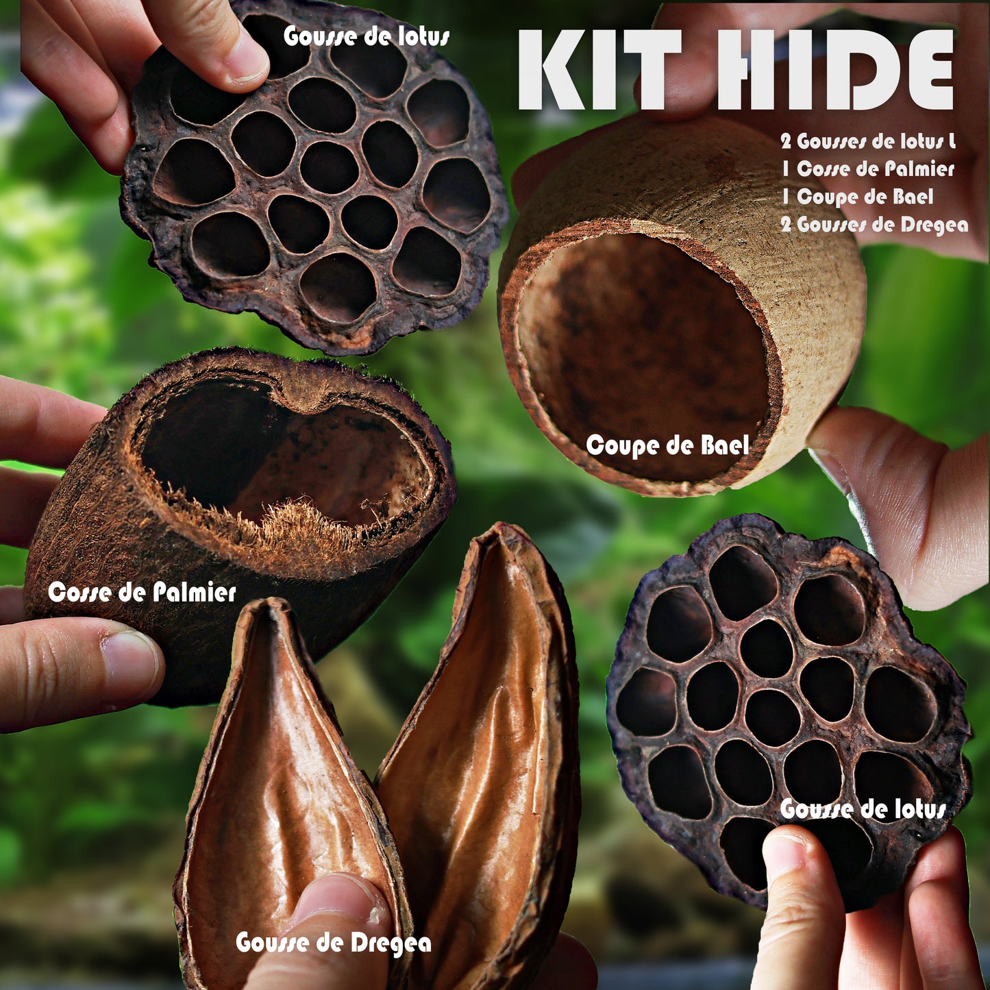 🍂KIT HIDE - Petit Kit Biotope Cachettes