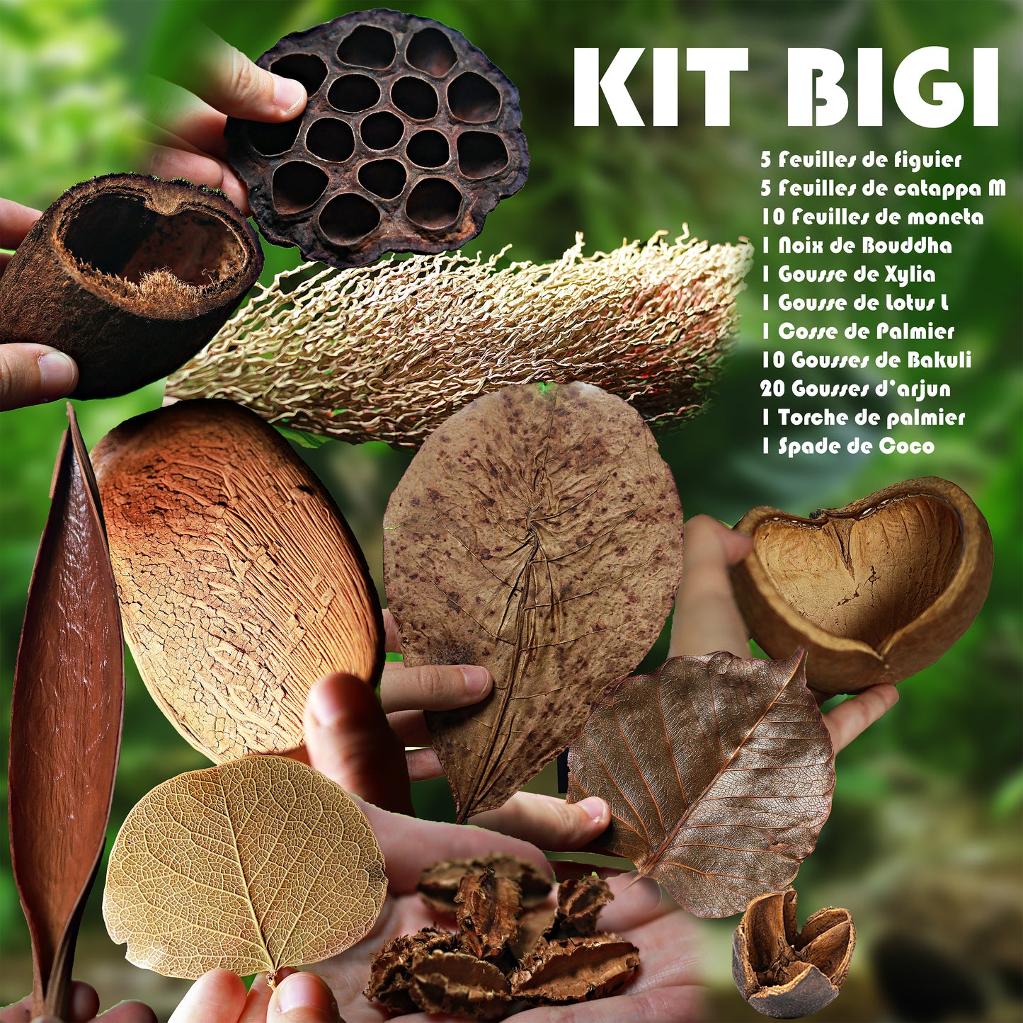 🍂KIT BIGI - Grand Kit Mix