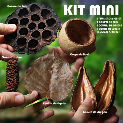 🍂KIT MINI - Petit Kit Biotope Nano Aquarium