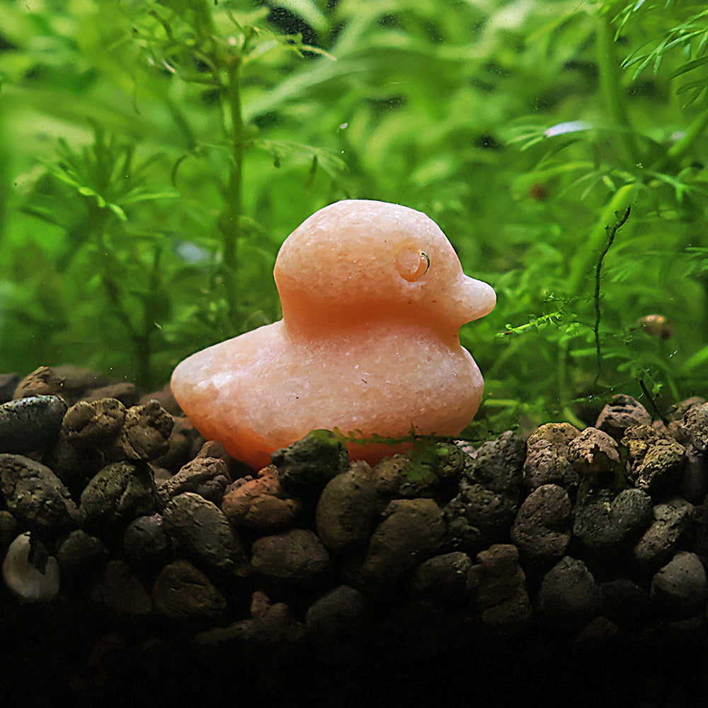 NanoStone - Canard en Aventurine Orange