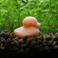 NanoStone - Canard en Aventurine Orange