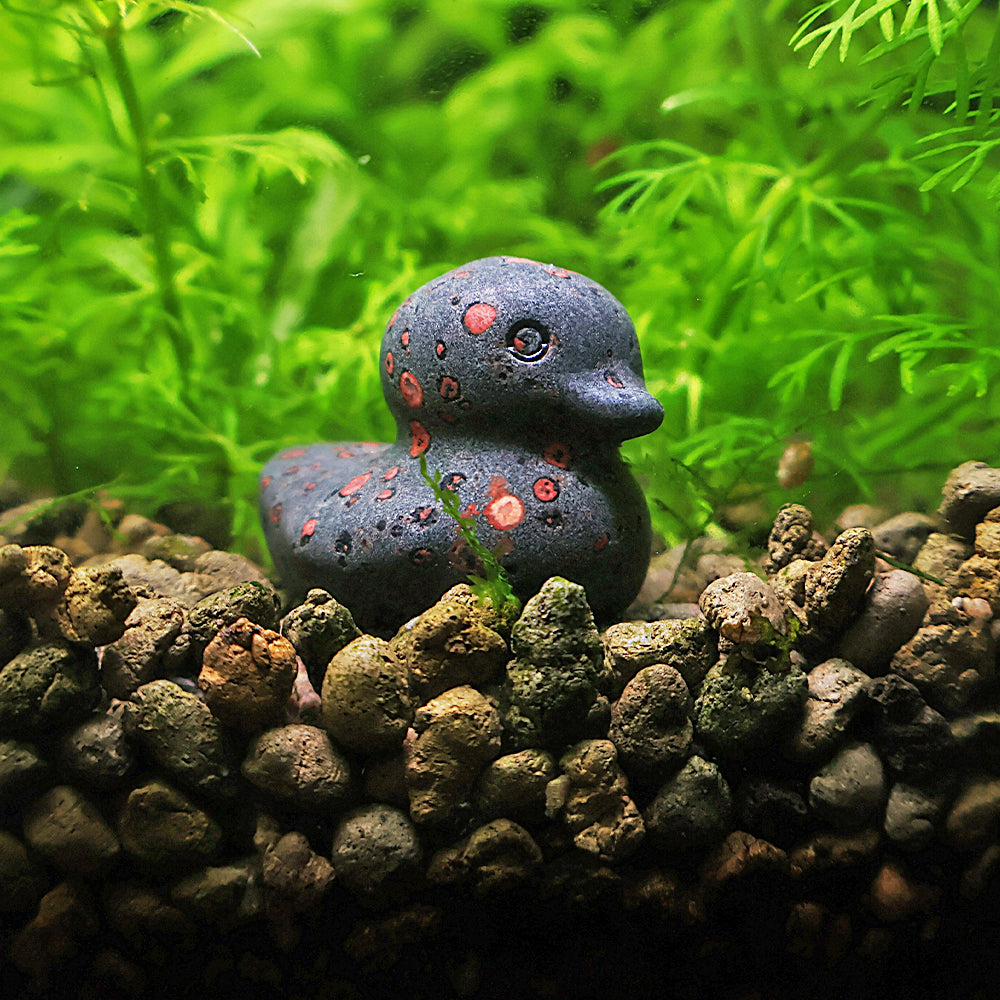 NanoStone - Canard en Plum Blossom Jade
